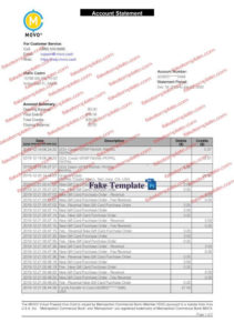 MOVO Cash download statement