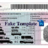 angola-driver-licence-template-02