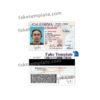 california-driver-license-psd-06