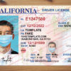 california driver license psd template