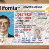 california-drivers-license-template-03