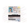 california-drivers-license-template-06