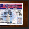 connecticut-driver-license-template-02