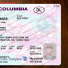 district-of-columbia-driver-license-template-02