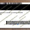 back of minnesota driver's license