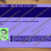 back minnesota drivers license