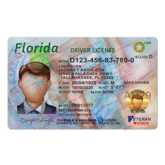 florida-drivers-license-template-07
