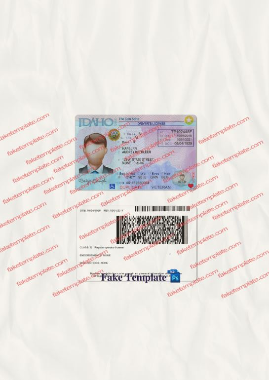 idaho-driver-license-template-04