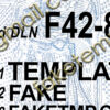 blank kentucky drivers license template