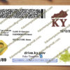 back of kentucky drivers license