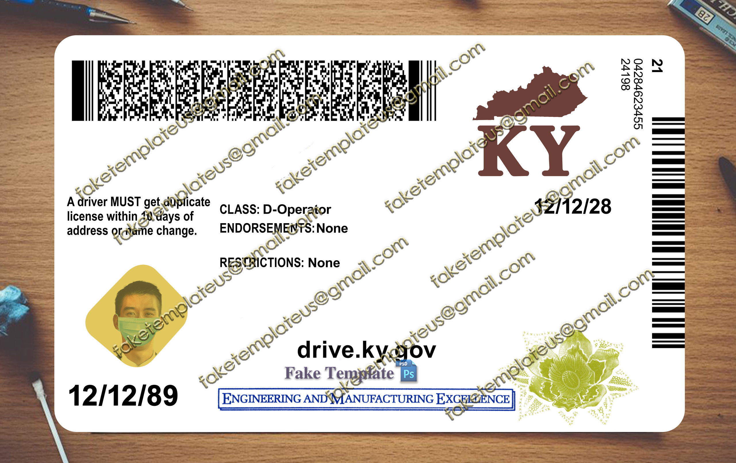 back of kentucky drivers license