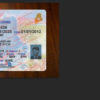 maine-drivers-license-template-02