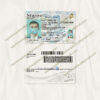 fake maine drivers license