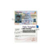 maine-drivers-license-template-05