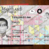 maryland driver license template