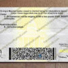 back of maryland driver license