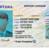 montana-driver-license-template-01