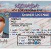 nevada-drivers-license-template-01