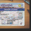 nevada-drivers-license-template-02