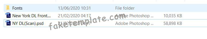 new-york-driver-license-template-06 new-york-driver-license-template-06