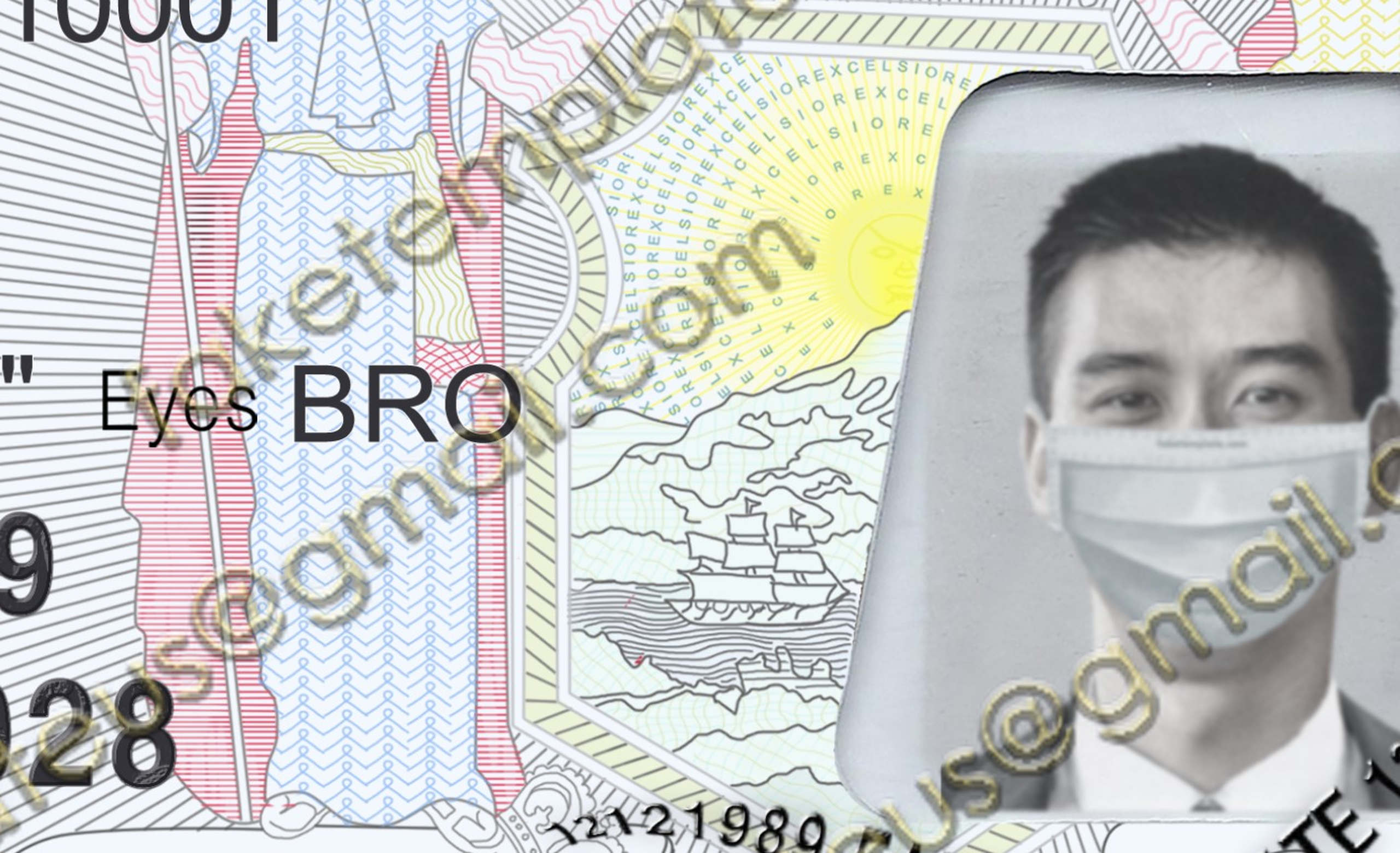 fake new york driver license fake new york driver license