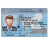 ontario-driver-license-template-01