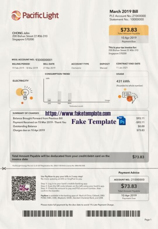 Singapore Utility Bill Psd Template : Singapore Proof of address Psd Template