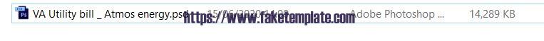 virginia-utility-bill-psd-template-03