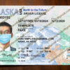 alaska driver license template
