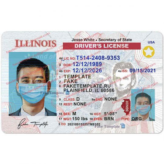 illinois drivers license template