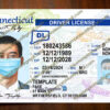 connecticut drivers license template