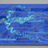 fake ct driver license