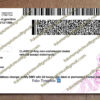 back of connecticut drivers license
