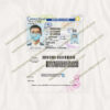 fake connecticut driver's license