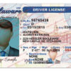 delaware-drivers-license-template-01