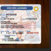 delaware-drivers-license-template-02