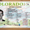 colorado-drivers-license-template-03