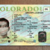 colorado drivers license template