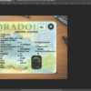 colorado drivers license template download