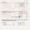 citibank statement template 01