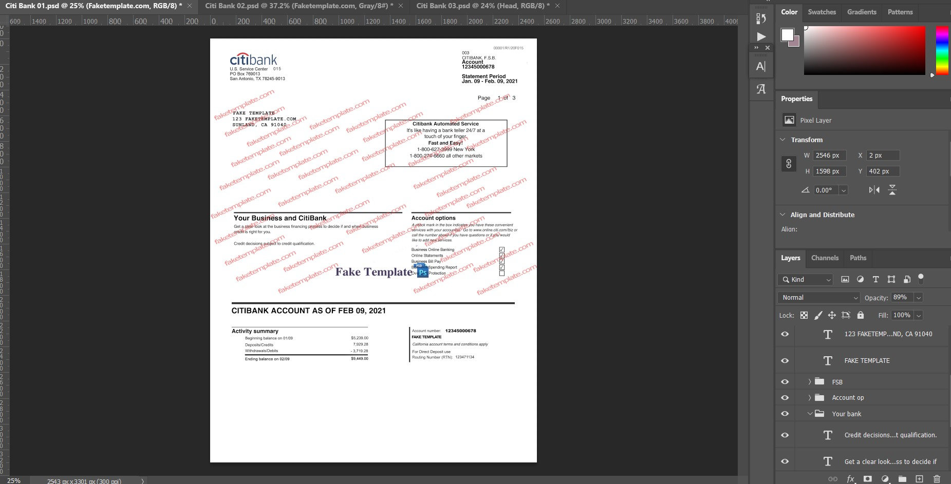 citibank statement template 02