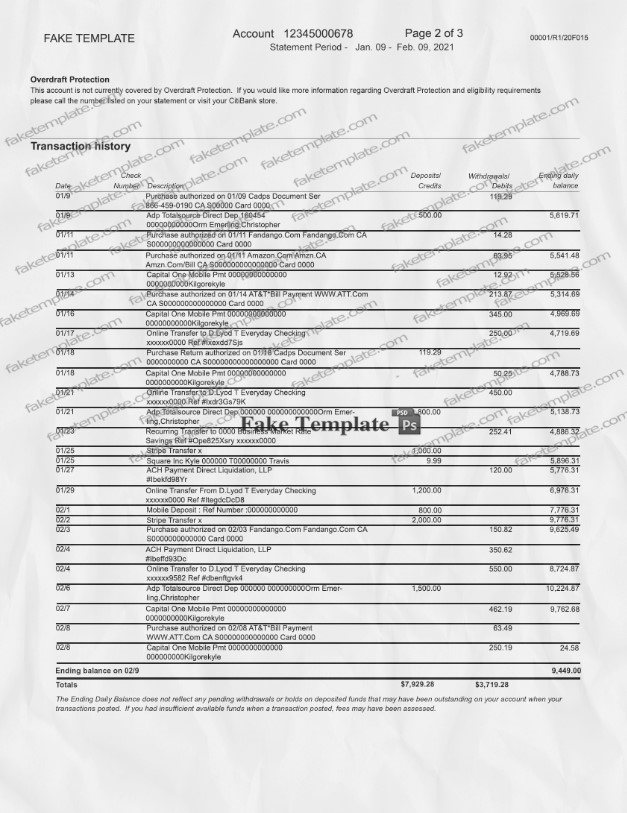 citibank statement template 03