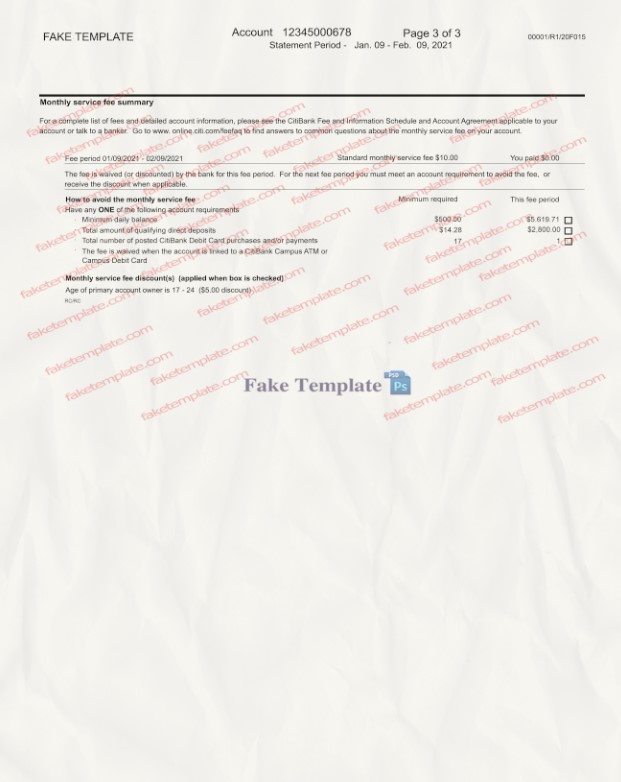 citibank statement template 04