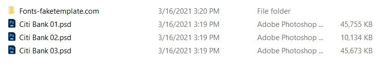 citibank statement template 05