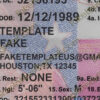 editable texas drivers license template