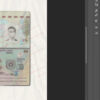 passport for sweden
