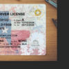 blank texas drivers license