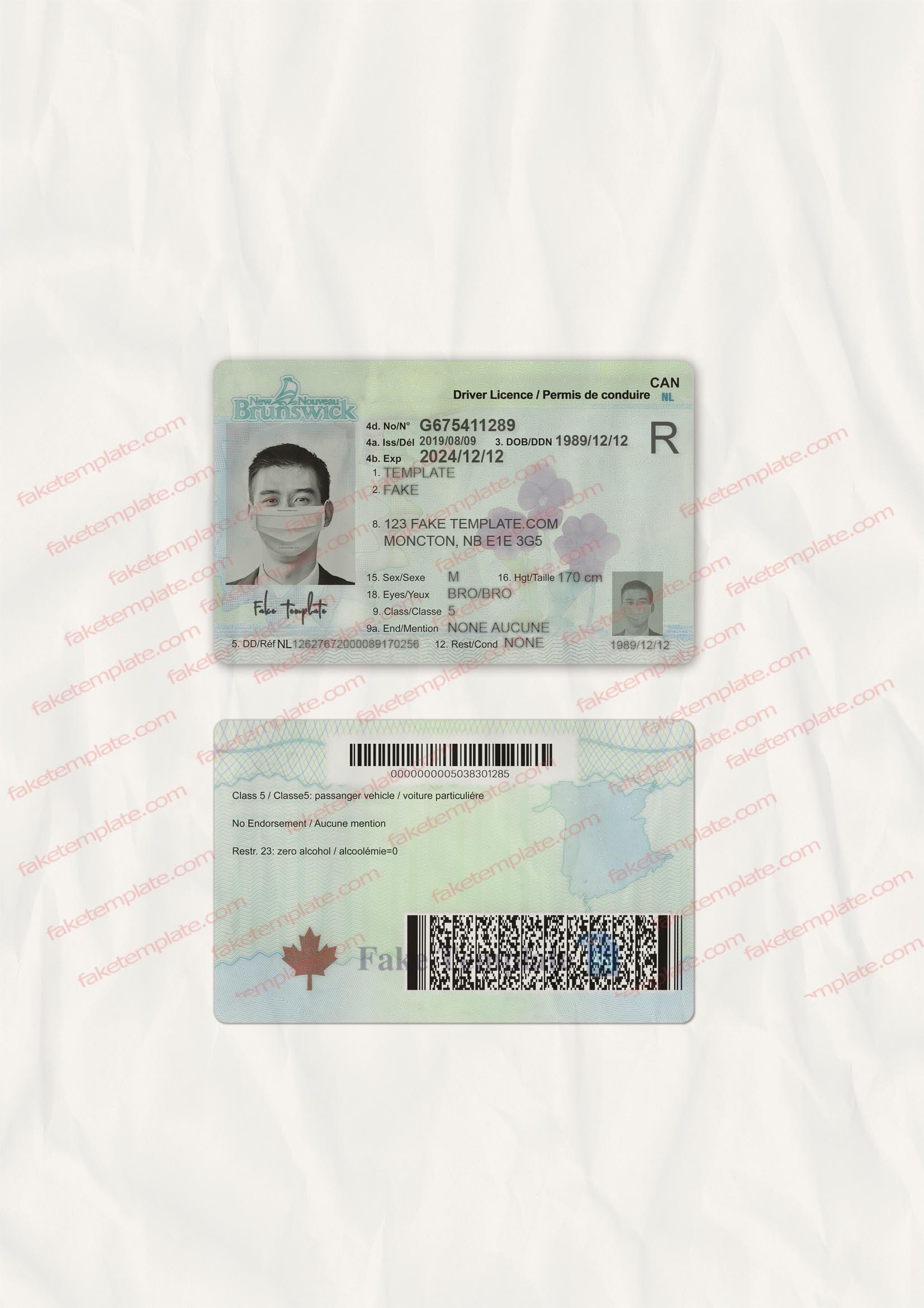 new-brunswick-drivers-license-template-04 new brunswick driver license psd