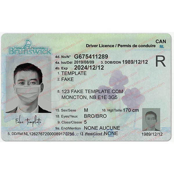new brunswick drivers license psd