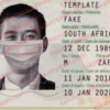 fake south africa passport